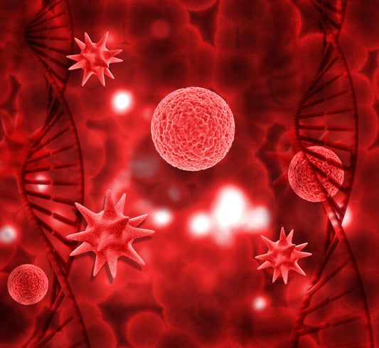 The Role of Cholesterol in Your Heart Health