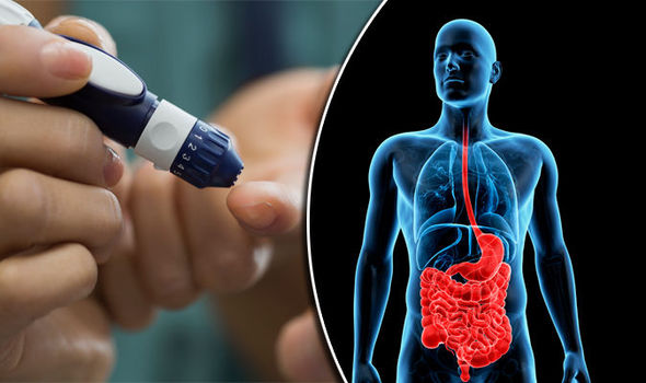 Strategies to Boost Gut Health in Prediabetes and Diabetes