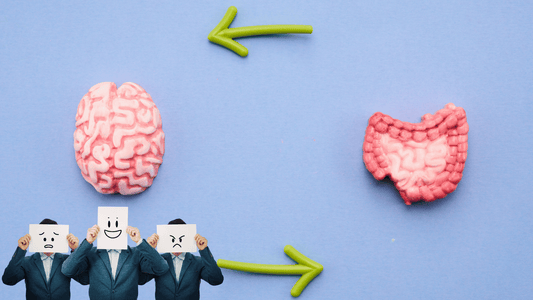 How Your Gut Affects Your Mood (And What You Can Do About It)